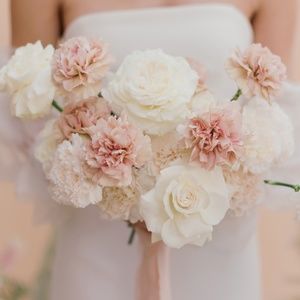 Meet your Posher, Jane